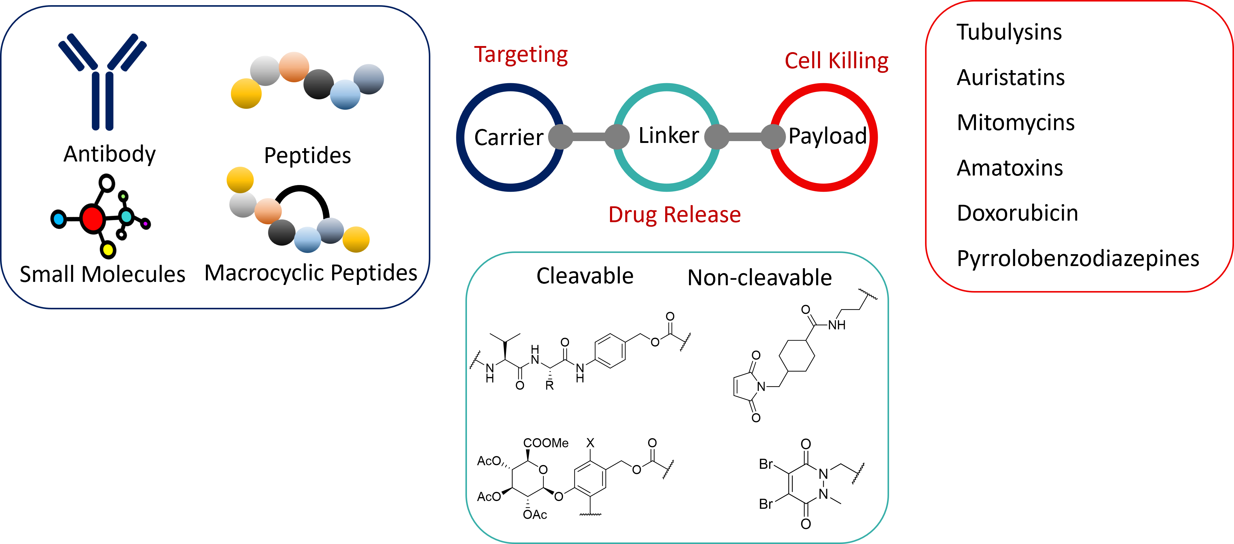 Ajitha Product Overview